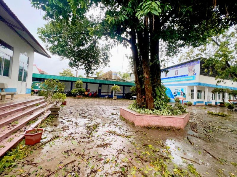 KHẮC PHỤC HẬU QUẢ SAU BÃO